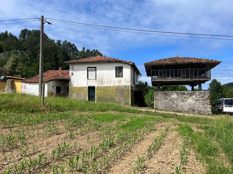 Foto f7d419be-ec04-41a9-beaf-768af43aa9c5. Casa in soto de luiña - pramaro in Cudillero