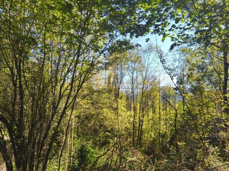 Foto 6c8bb85b-2bae-4a2c-b7e7-7ec288d0facd. Haus in Elorrio