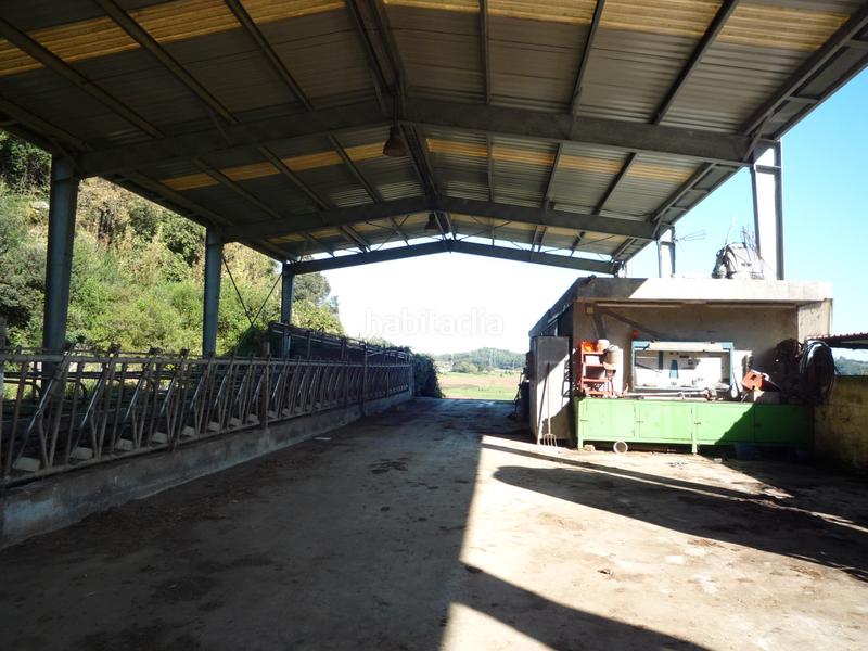 Foto 3f206393-65f0-425d-9e9b-424a4b752443. Alquiler nave industrial en barrio mijares 3c terreno con nave ganadera en Camargo