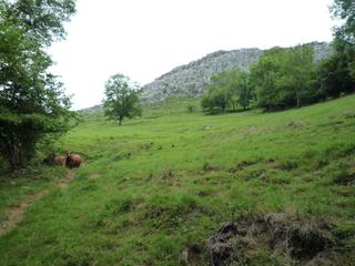 Propriété à N/a. Finca rústica con cabaña en liérganes