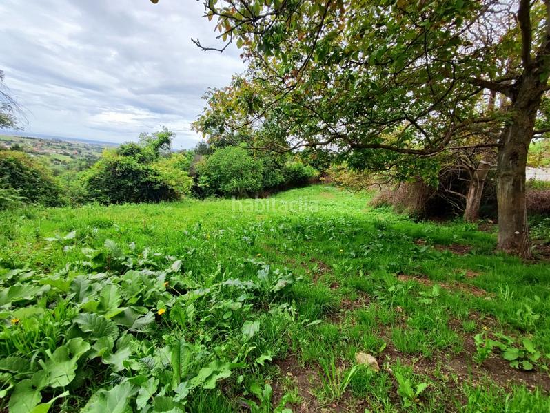 Foto a1e9f61c-8a3e-4a5e-8243-7b3a2c436ec5. Terreny residencial a Cenero Gijón