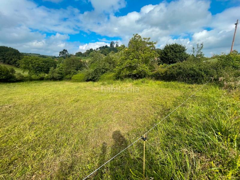 Foto b2c8eed0-682c-4e57-92b0-8a9286b19e9a. Residential plot in Cenero Gijón
