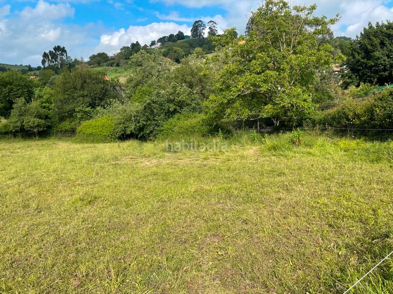 Foto c5c9b889-3d15-4e8f-90cc-8b959fcd5bca. Residential plot in Cenero Gijón