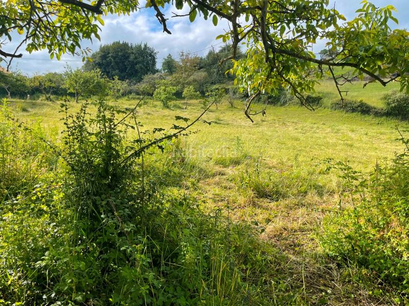 Foto c7359cc8-dfa5-4195-8fee-1d30965749b5. Residential plot in Cenero Gijón