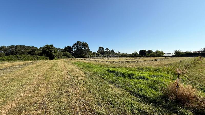 Foto db6ae0c8-e85a-4067-8ced-d0c6922e7a5f. Terreno residencial en oviñana en Cudillero
