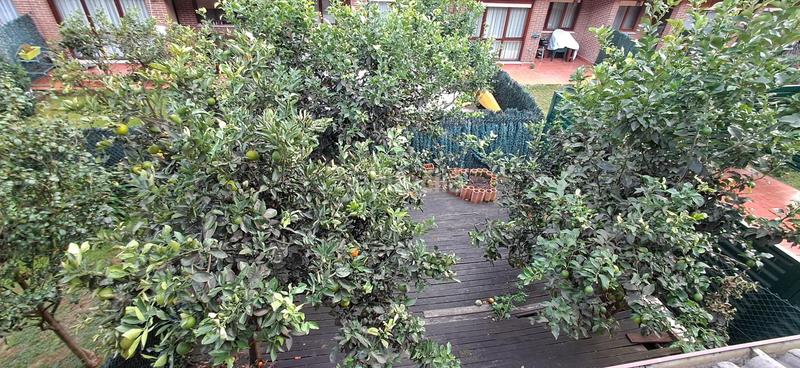 Foto 3d650485-8821-4b17-9066-73229c3a050e. Casa adosada en calle ria de solia 9 chalet astillero en Astillero (El)