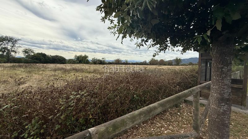 Foto 3d1afd9f-0a5a-4a0b-a1de-9a6fb9fdeb54. Terreny residencial a carretera de lugo de Llanera a polígono de silvota 11 a Llanera