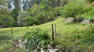 Fondo rustico in Barrio la linde 11