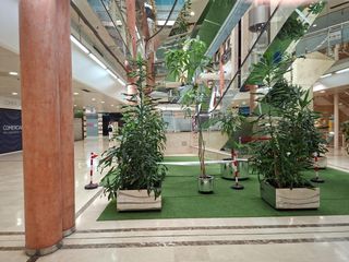Local Comercial a Concepcion Arenal
