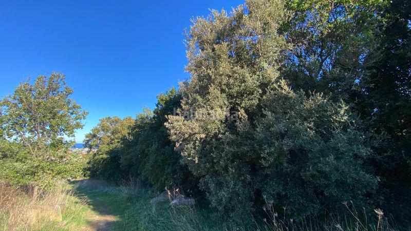 Foto 4d5d7931-b3e3-4299-a9a8-a103e415c932. Landgut in Cotolino Castro - Urdiales