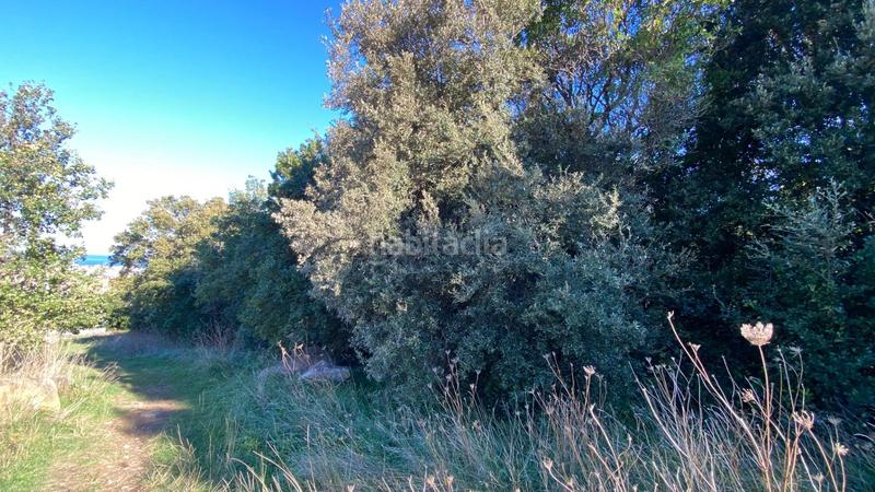 Foto 54b34374-0937-4672-bf97-afc2cd7312bd. Landgut in Cotolino Castro - Urdiales