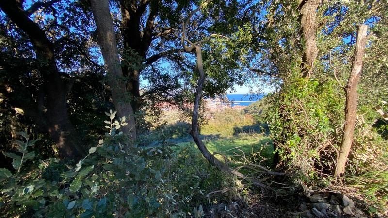 Foto 8f173589-1ff9-4360-ab4d-dcd1f19dc8c4. Landgut in Cotolino Castro - Urdiales