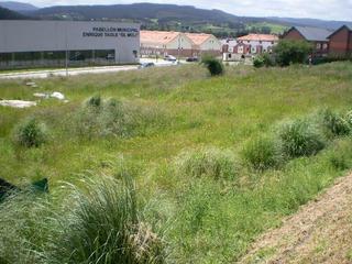 Terreno residenziale in Jurrio (el) 2006. Terreno urbano en parbayon