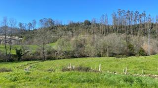 Finca rústica a Valdáliga. Terreno rústico en roiz