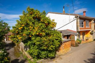 Casa  Luey. Casacuadra y parcela