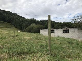Finca rstica  Carretera aranoltza. Terreno de 42.000 metros en zamudio
