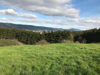 Finca rstica en Derio. 10 has, de terreno rural en derio
