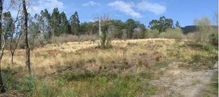 Finca rstica  Urizar auzoa. Venta de terreno de 62.000 metros en lemoiz