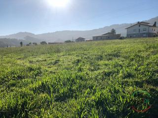 Residential Plot in Novellana - lugar novellana - castañeras