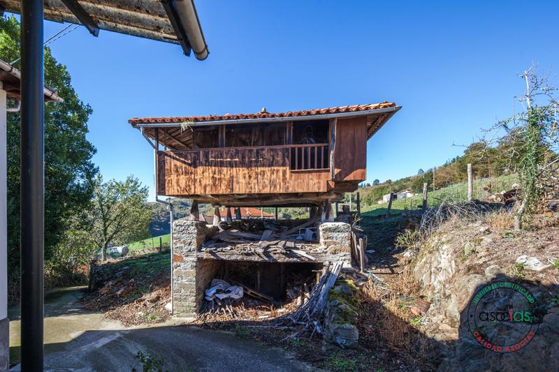 Foto d8581a96-e700-43a7-b36f-f02e35340acd. Casa a Tineo - lg piñera de san felix 4 a Tineo