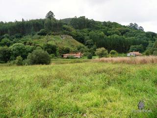 Terreny residencial a Pillarno. Fincas edificables para parcelar en el entorno de las cuevas de