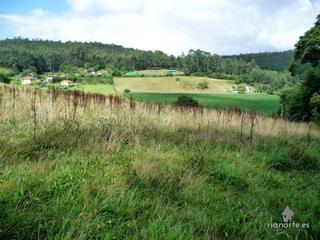 Finca rústica a Pillarno. Finca rústica de 25.000 metros en venta