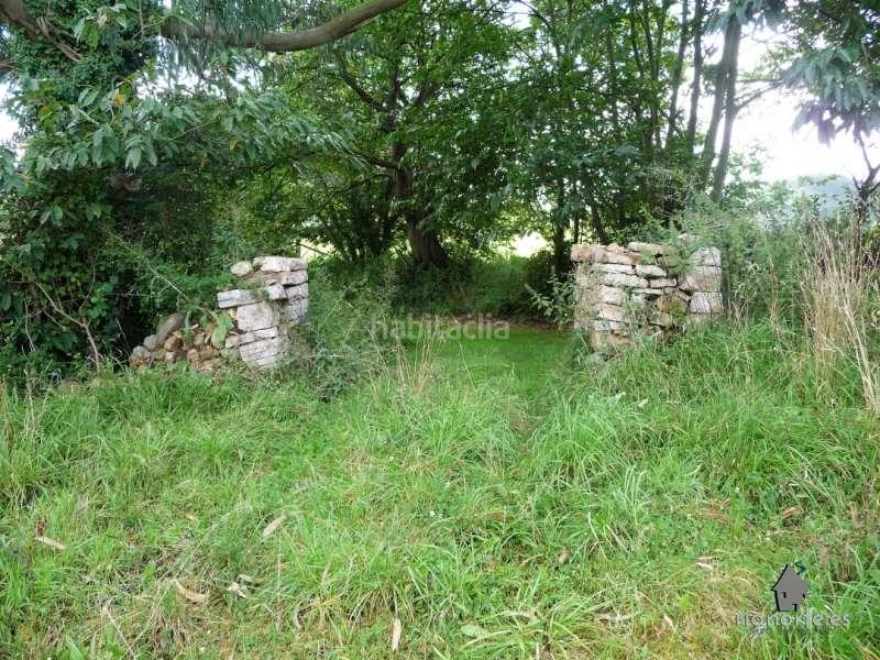 Foto 95cb4591-fdbf-4b36-8127-5ef76bcee077. Finca rústica  de 25.000 metros en venta en Castrillón