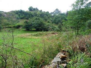 Finca rústica a Pillarno. Finca no edificable en venta cercana a las cuevas de arbedales