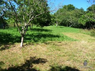 Terreny residencial a Illas. Finca edificable en calavero illas