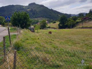 Terreny residencial a Candamo. Solares en venta en san román de candamo