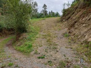 Terreny residencial a Pillarno. Finca en venta en las bárzanas