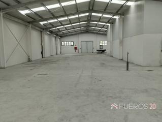 Rent Industrial building in Bagatza - S. Vicente. Pabellónalquiler