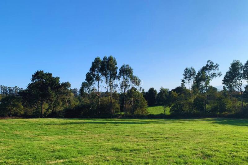 Foto 01fba2bc-1a03-418d-a80b-4aa79761cd74. Chalet in calle el pico 43 in Llanera