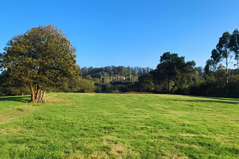 Foto 343948d5-45f5-4aa3-a155-277710697820. Chalet in calle el pico 43 in Llanera