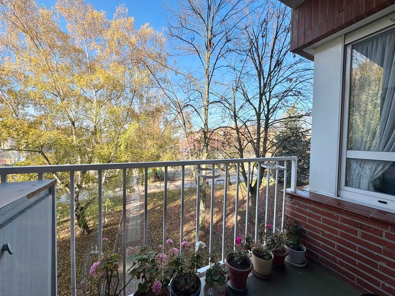 Foto 8b9212f7-08fe-428d-b5a3-e2feb8bcf2a2. Pis a Zaramaga Vitoria - Gasteiz