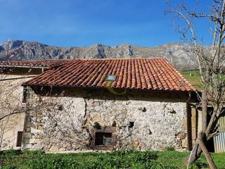 Local Comercial a Peñamellera Alta. Cuadraalmacén.