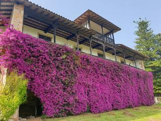 Casa a Piloña. Finca histórica y singular en villaviciosa.