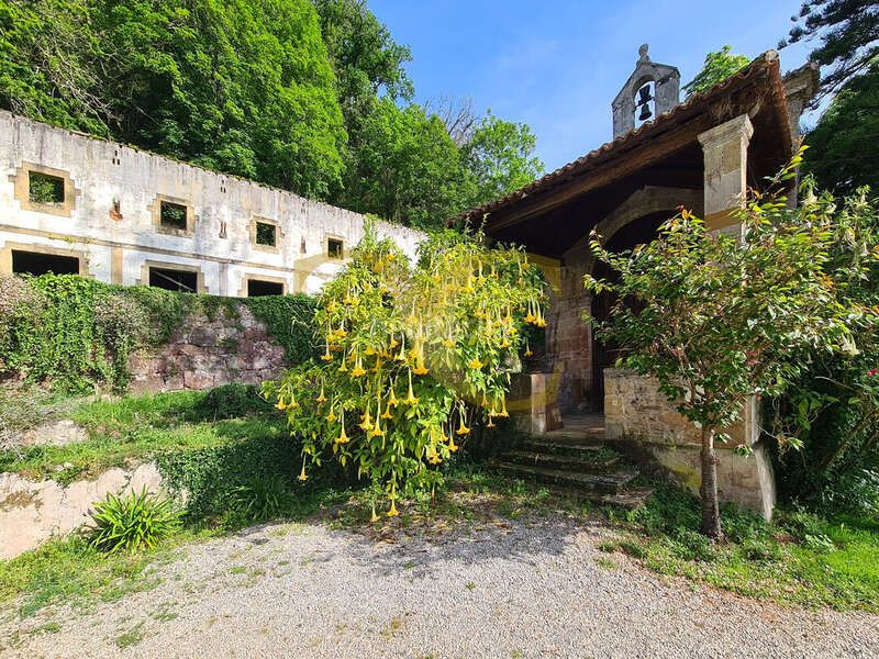 Foto 04bd27c1-44f6-412b-a90a-0155853c2a5e. Casa a Piloña