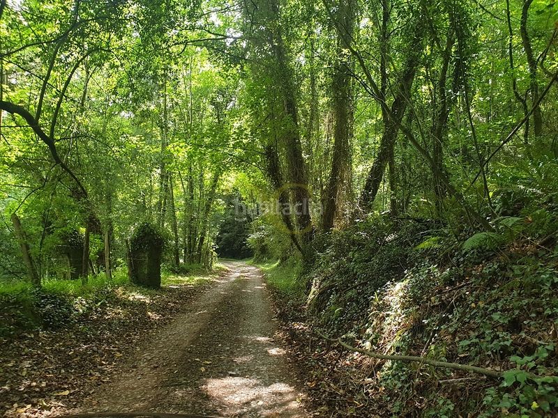 Foto 982e3aa0-cff1-4d5f-80c6-9a5ab237f0ea. Casa a Piloña