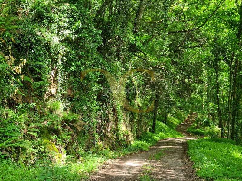 Foto 9a506f25-e3c7-4079-bb52-681966b58d80. Casa a Piloña