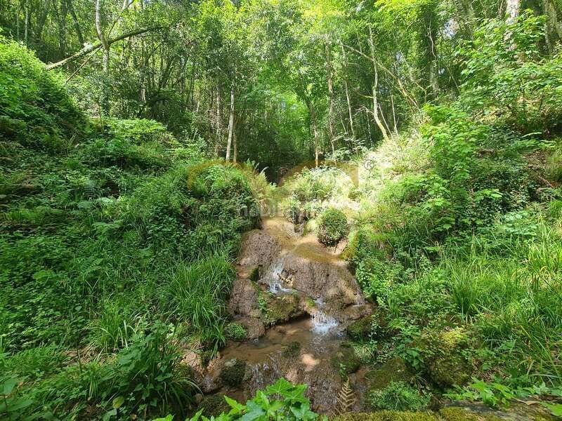 Foto a9644cbe-ae0a-4014-b89c-546d9358c6b6. Casa a Piloña