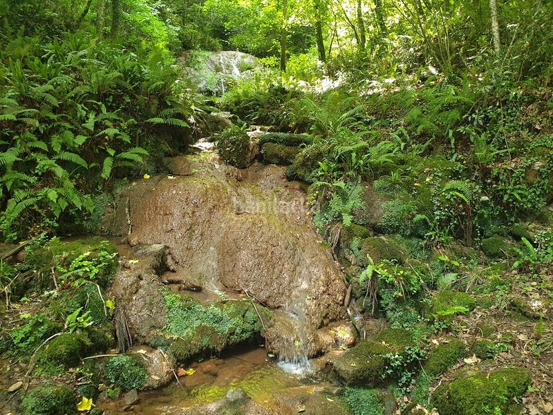 Foto d7a98f67-4b09-4a65-a625-6ddd451c6567. Casa a Piloña