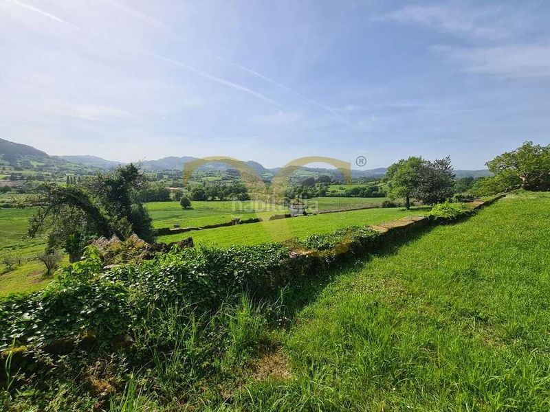 Foto da2003fb-4239-486a-905f-8d8dba4d761c. Casa a Piloña