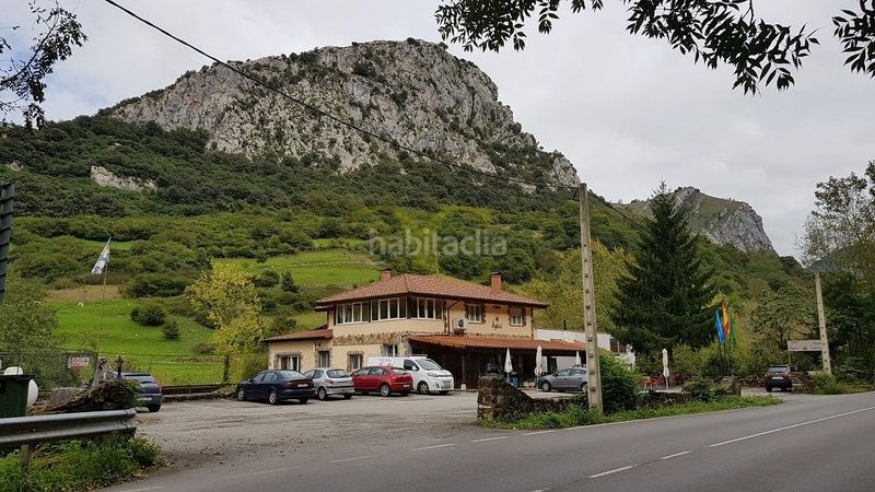 Foto 16f31202-8ddb-428c-9430-7f6e7c5e7489. Local comercial a Cabrales