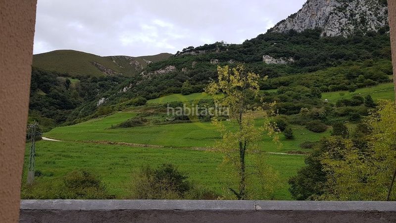 Foto 9f43148c-cf61-4151-8009-14dcd1cfc07c. Local comercial a Cabrales