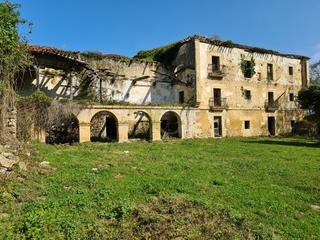 Casa  Noriega. Gran finca palacio la prida.