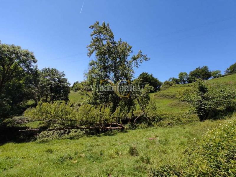 Foto 2e4fca4f-2cba-4625-8b3f-833cead5e3af. Casa amb aparcament a Parres