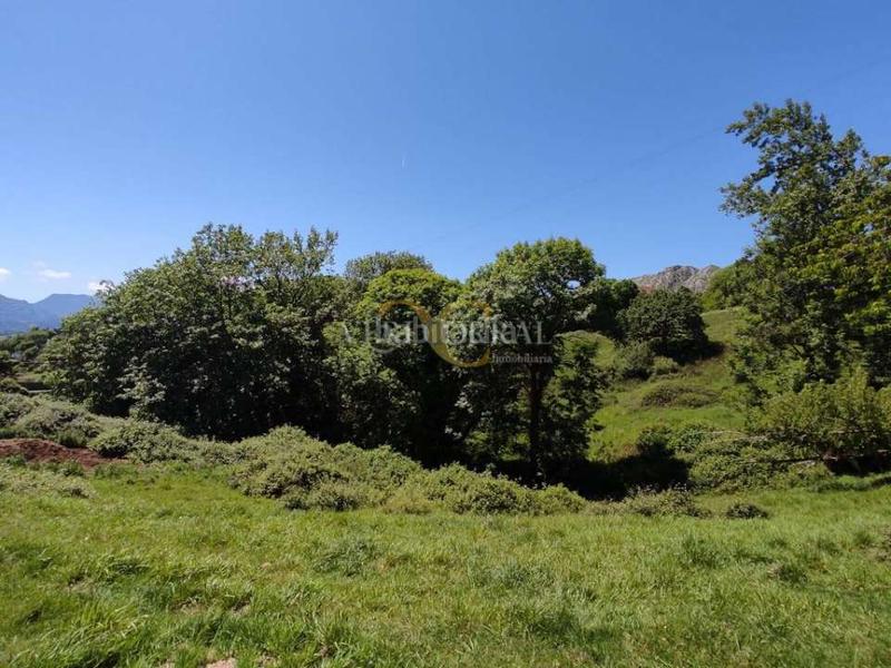 Foto af78876d-5738-4cbc-9fd8-eddc9d56caf6. Casa amb aparcament a Parres