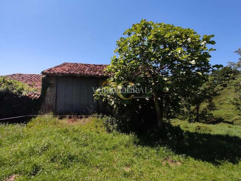 Foto e8d6c9d6-283c-4790-91b3-80e21915ccfc. Casa amb aparcament a Parres