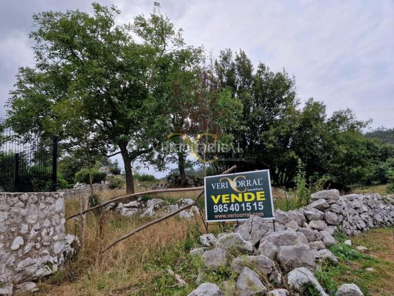 Foto 62ca4057-696e-4497-871c-6983ad2a9b81. Terreny residencial a Llanes pueblo Llanes